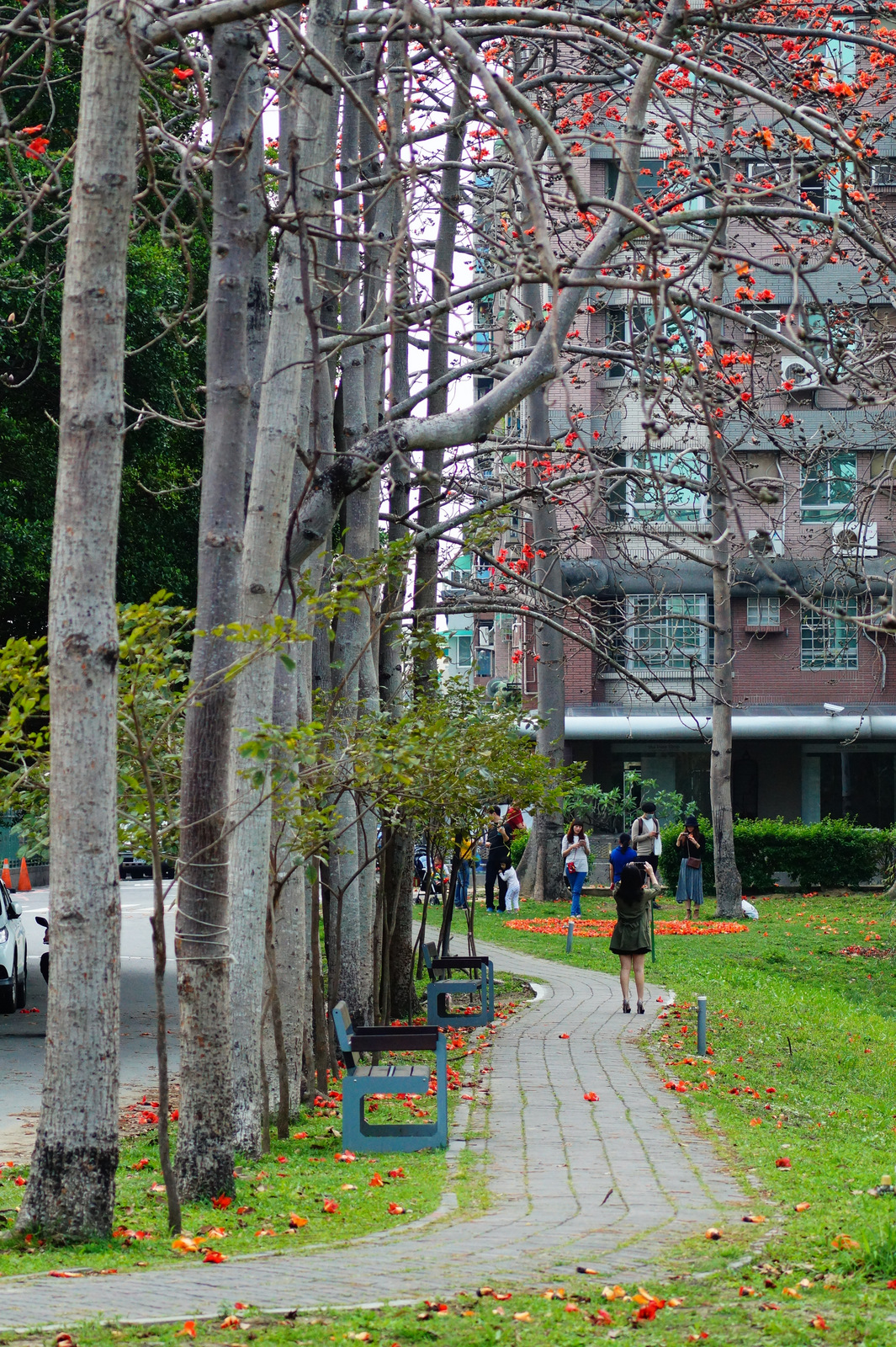 木森,木森景觀設計,台南景觀設計,戶外景觀,綠植設計,綠植牆