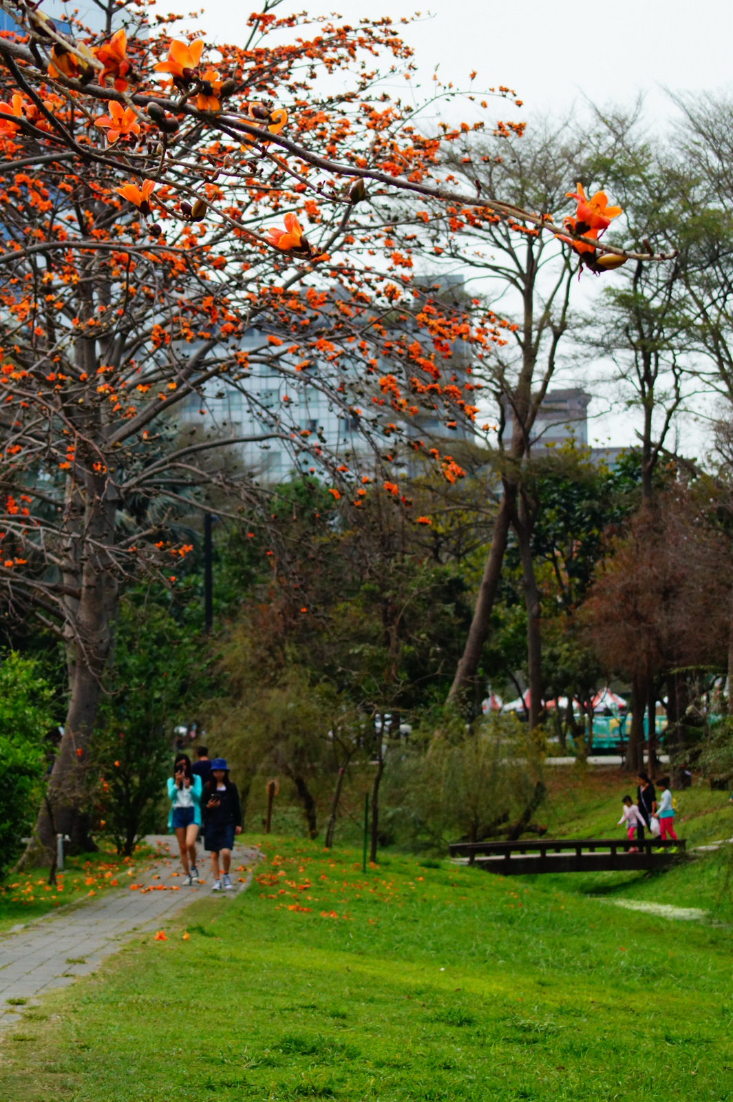 木森,木森景觀設計,台南景觀設計,戶外景觀,綠植設計,綠植牆