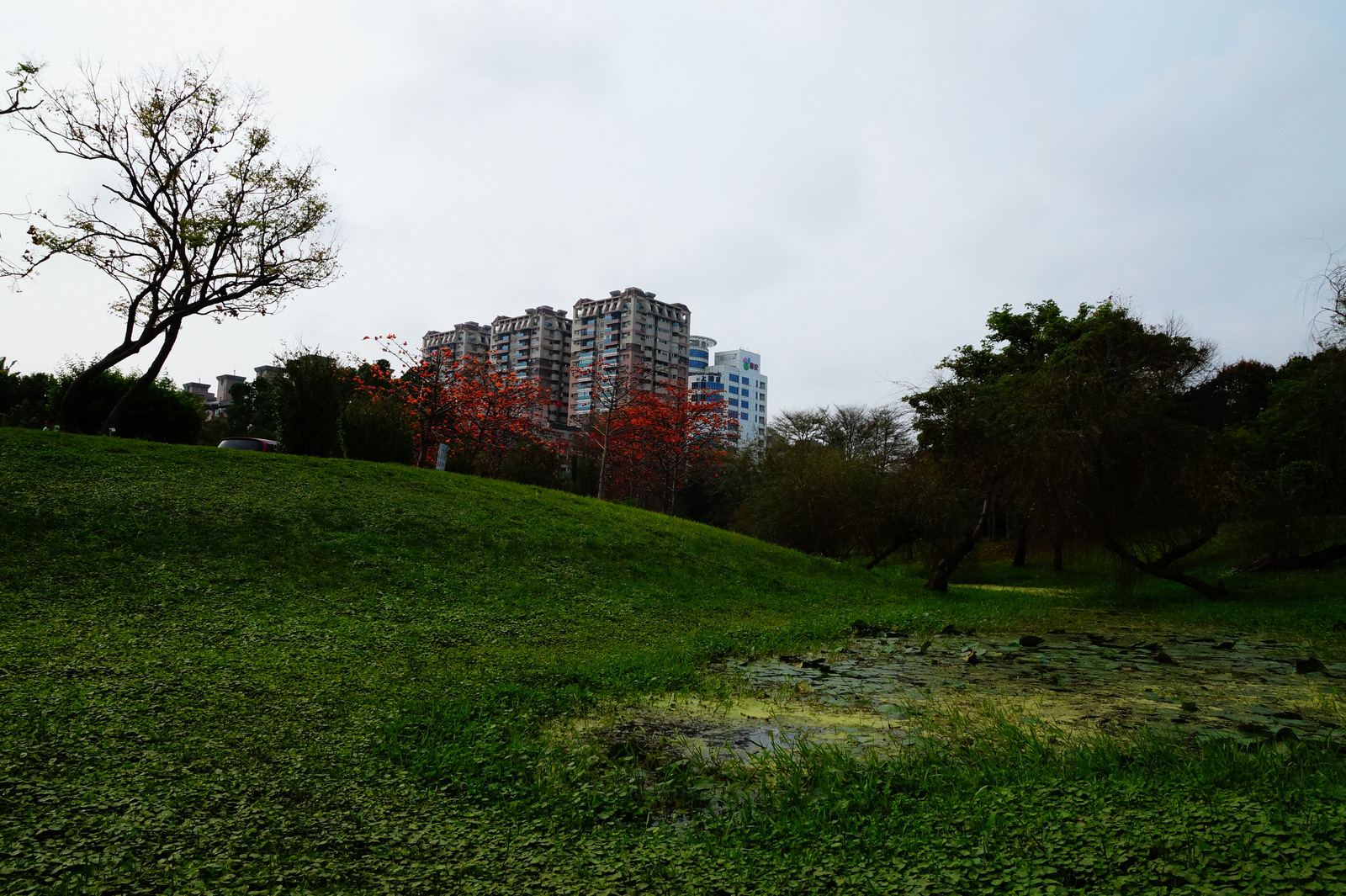 木森,木森景觀設計,台南景觀設計,戶外景觀,綠植設計,綠植牆