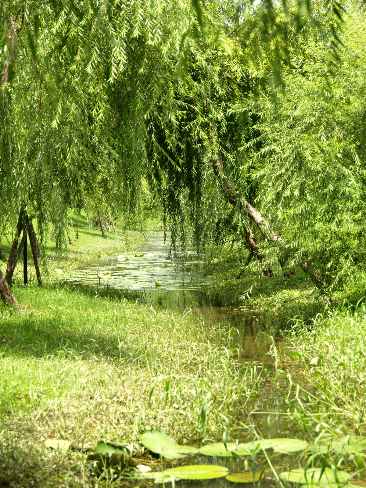 木森,木森景觀設計,台南景觀設計,戶外景觀,綠植設計,綠植牆