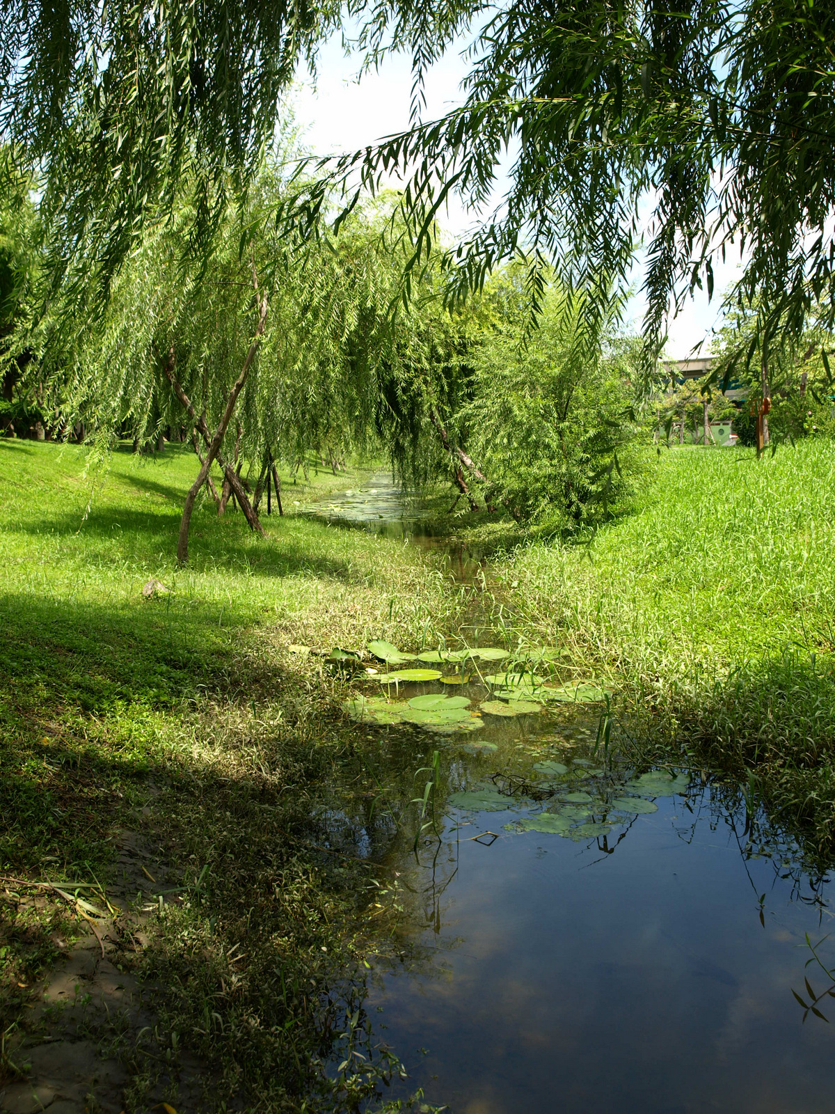 木森,木森景觀設計,台南景觀設計,戶外景觀,綠植設計,綠植牆