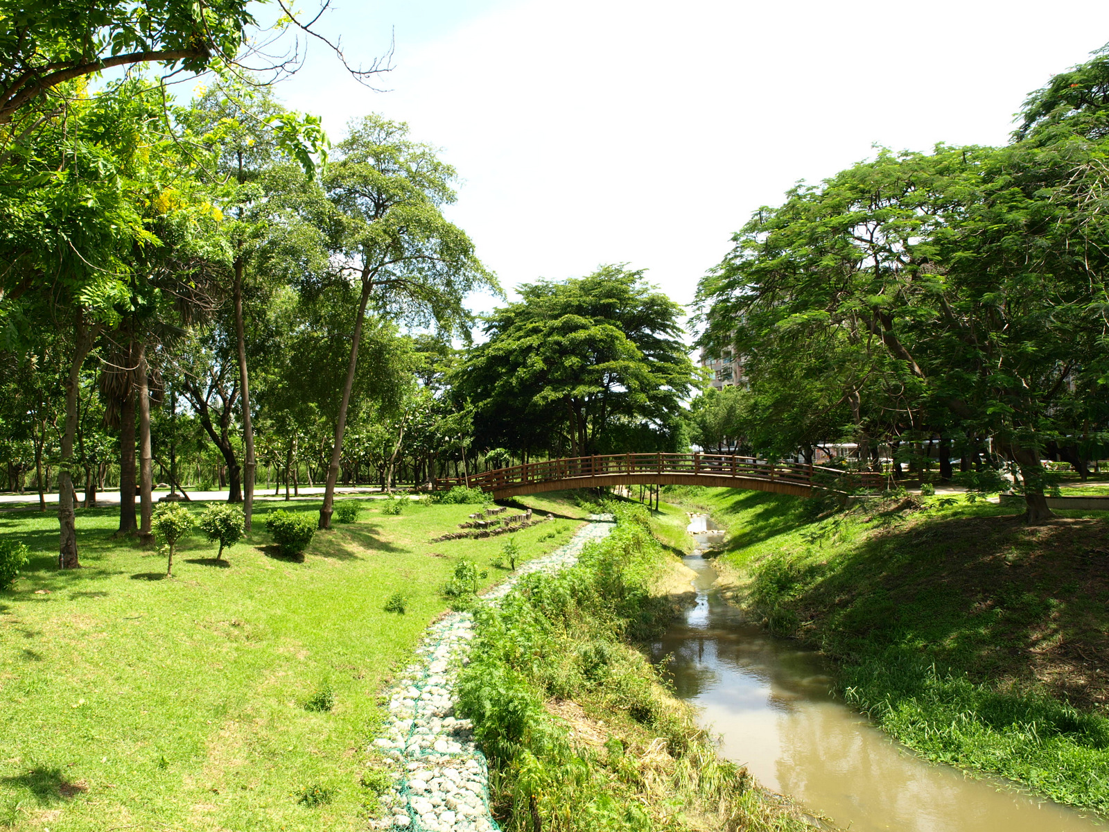 木森,木森景觀設計,台南景觀設計,戶外景觀,綠植設計,綠植牆
