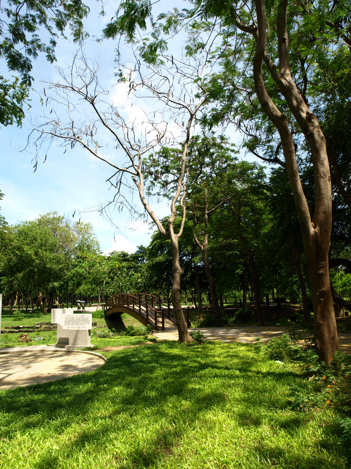 木森,木森景觀設計,台南景觀設計,戶外景觀,綠植設計,綠植牆