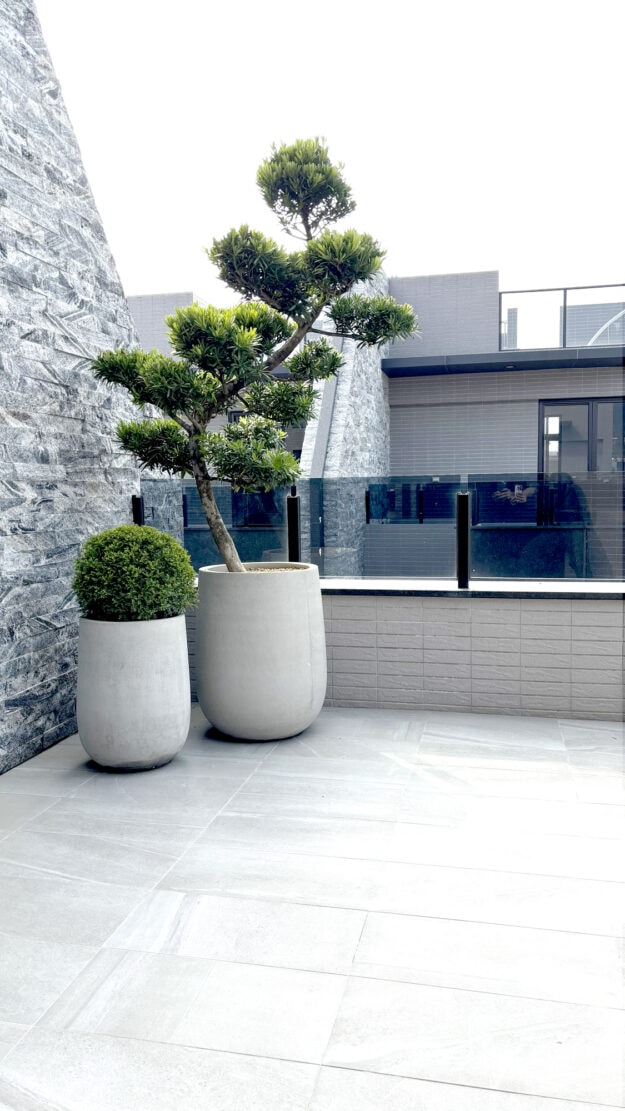 木森,木森景觀設計,台南景觀設計,戶外景觀,綠植設計