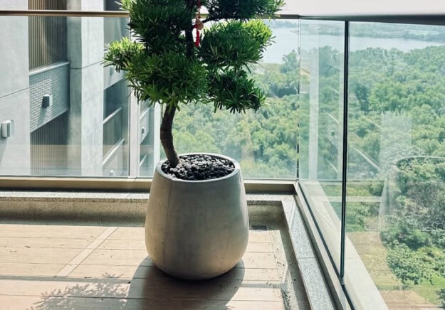 木森,木森景觀設計,台南景觀設計,戶外景觀,綠植設計