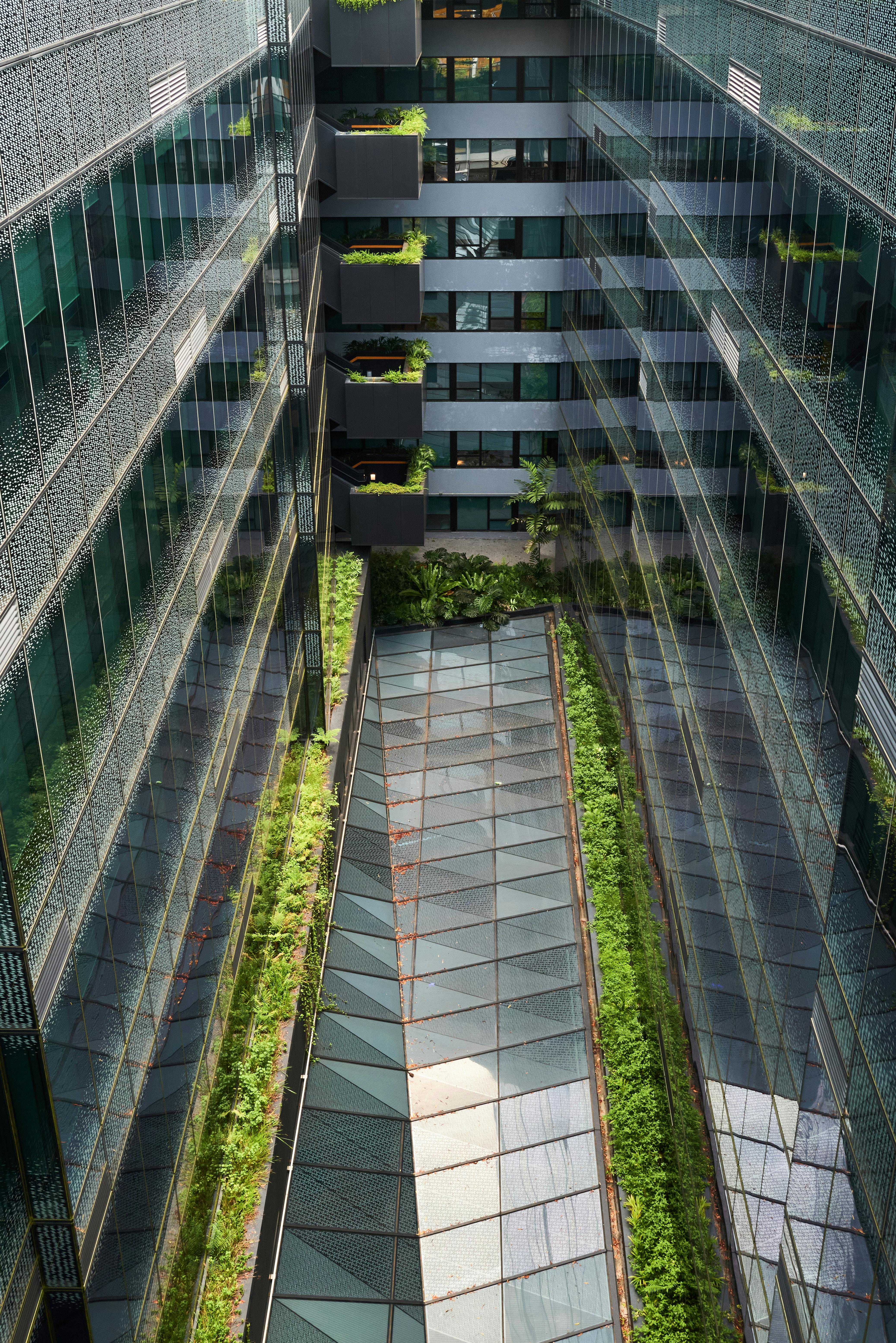 木森,木森景觀設計,台南景觀設計,戶外景觀,綠植設計,綠植牆
