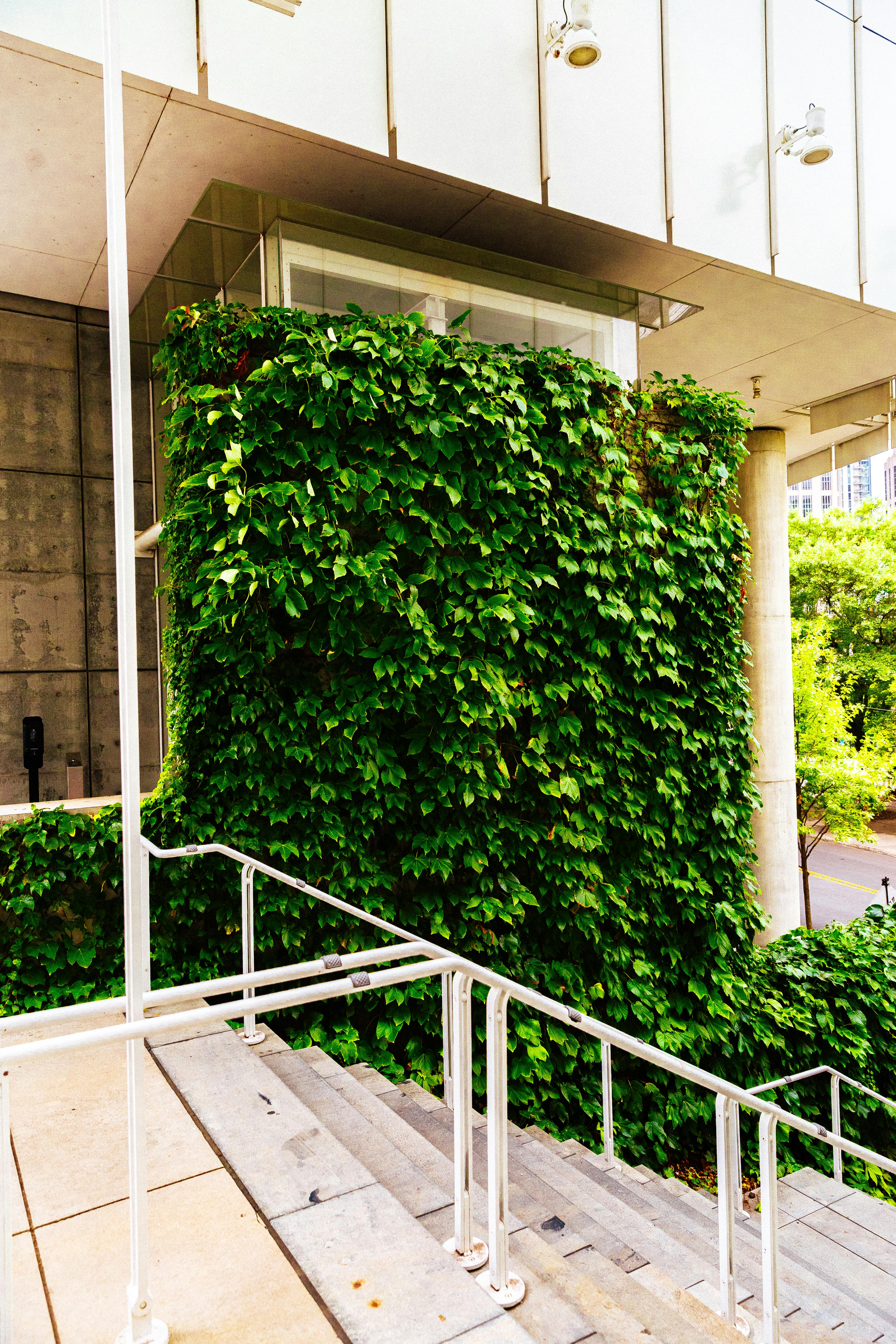 木森,木森景觀設計,台南景觀設計,戶外景觀,綠植設計,綠植牆