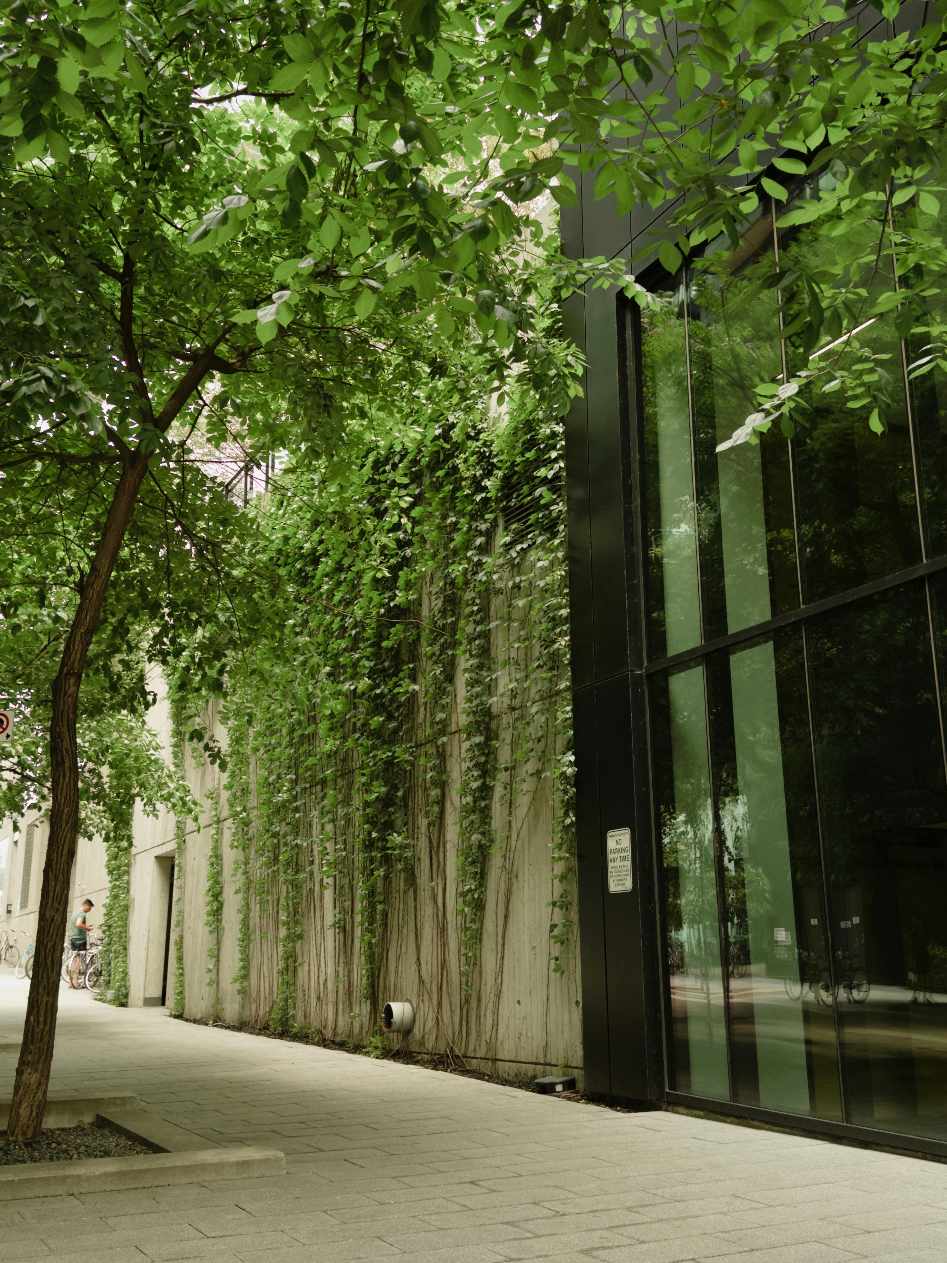 木森,木森景觀設計,台南景觀設計,戶外景觀,綠植設計,綠植牆