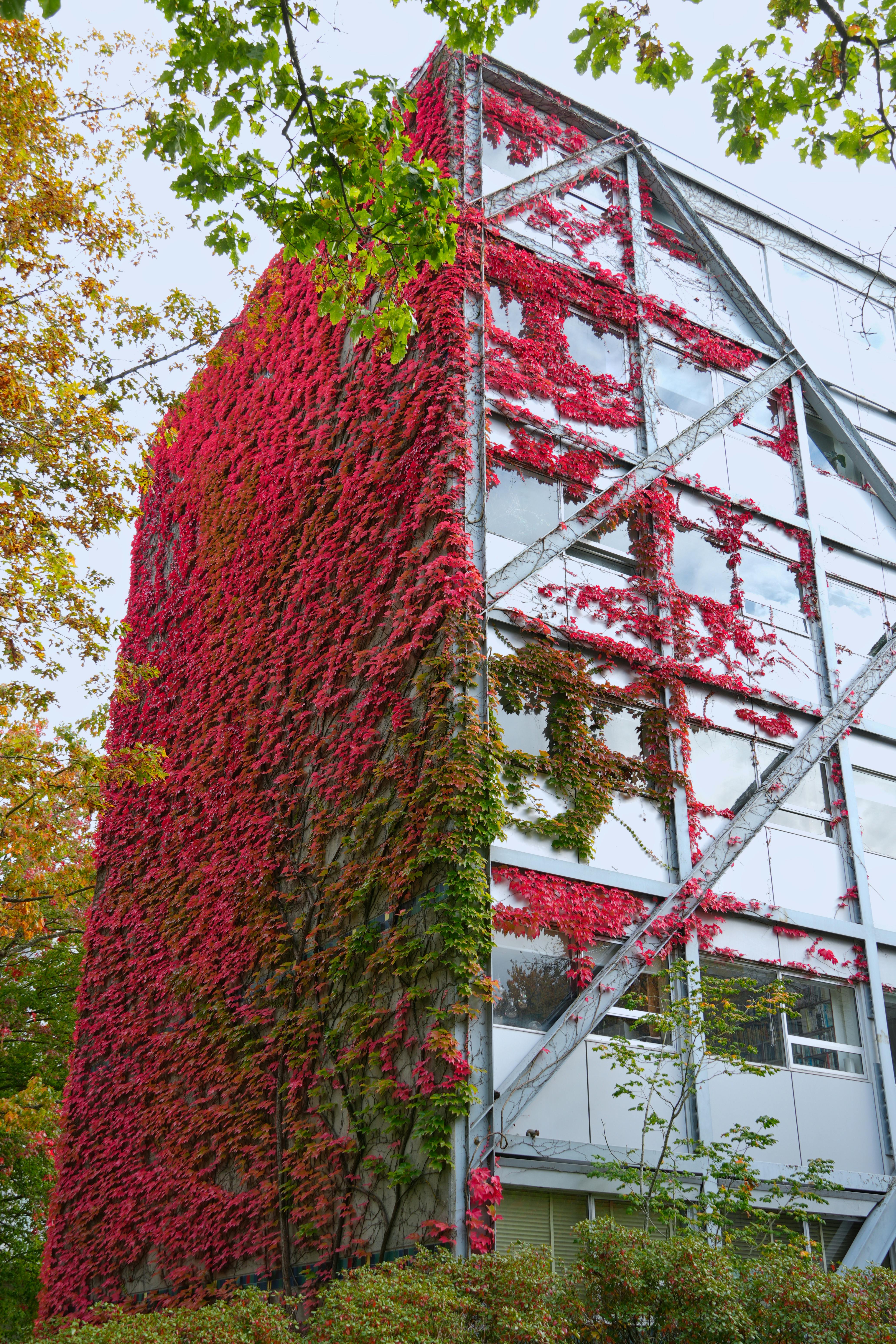木森,木森景觀設計,台南景觀設計,戶外景觀,綠植設計,綠植牆