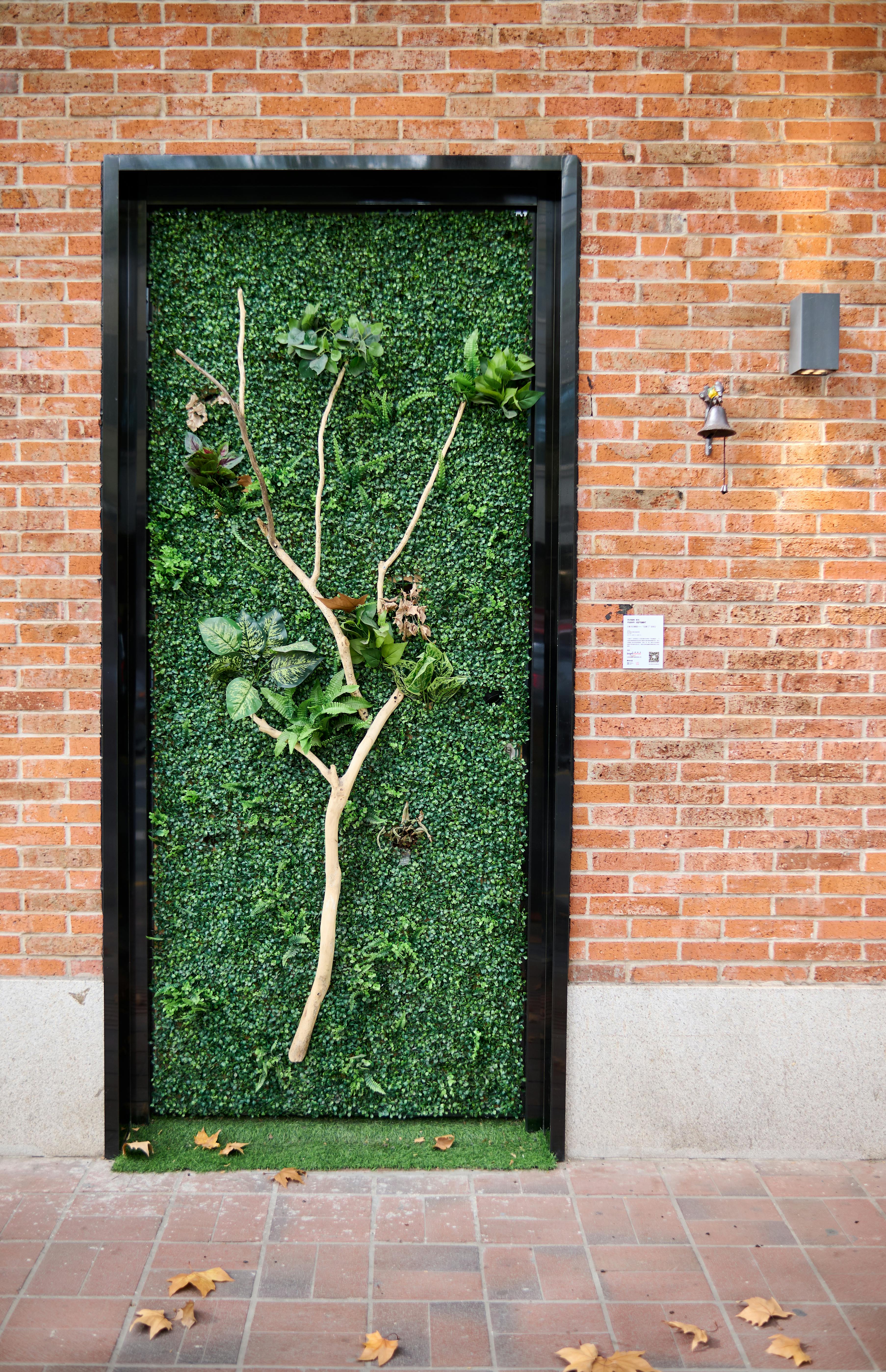 當企業在辦公室、門市或工廠周邊建置綠植牆與綠意景觀時，不僅提升內部環境，也能改善社區周邊的空氣品質與視覺感受。對居民而言，這是一種共榮效益；對企業而言，這則是建立「好鄰居」形象的機會。CSR不必是龐大計畫，從一棵樹、一面綠牆開始，就能產生正向影響。